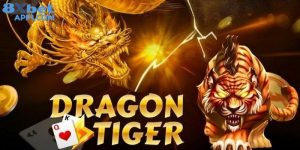 Mẹo chơi rồng hổ - Chiến lược thông minh, cược là thắng