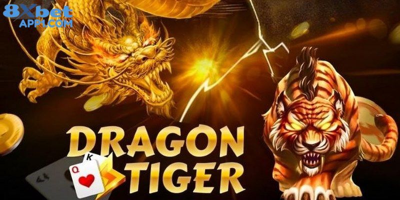 Mẹo chơi rồng hổ - Chiến lược thông minh, cược là thắng